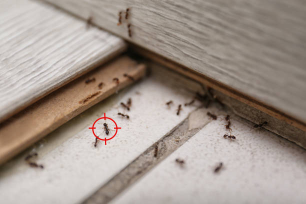 Best Pest Control for Businesses  in Barclay, NJ