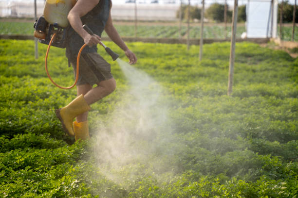 Pest Control Cost in Barclay, NJ