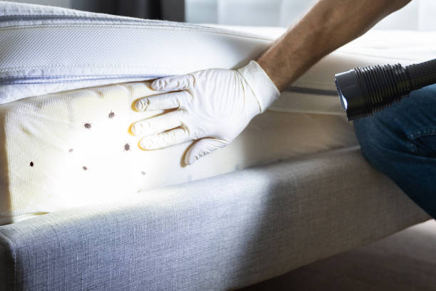 Best Affordable Pest Control Services  in Barclay, NJ