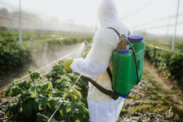 Best Affordable Exterminators  in Barclay, NJ